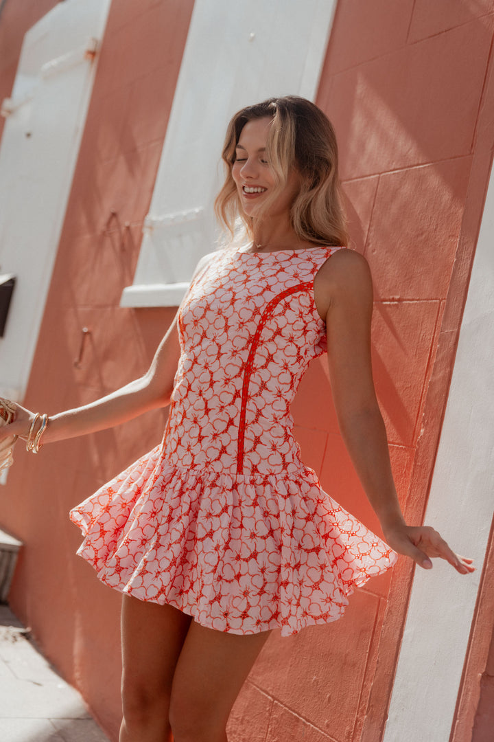 Manon Embroidered Mini Dress Pink/Red Pink/Red / M Manon Embroidered Mini Dress Pink/Red Pink/Red / M